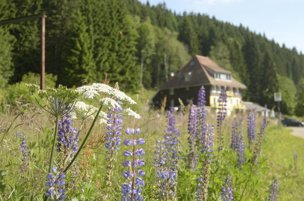 Gasthaus Hotel Loeffelschmiede Feldberg  Bagian luar foto