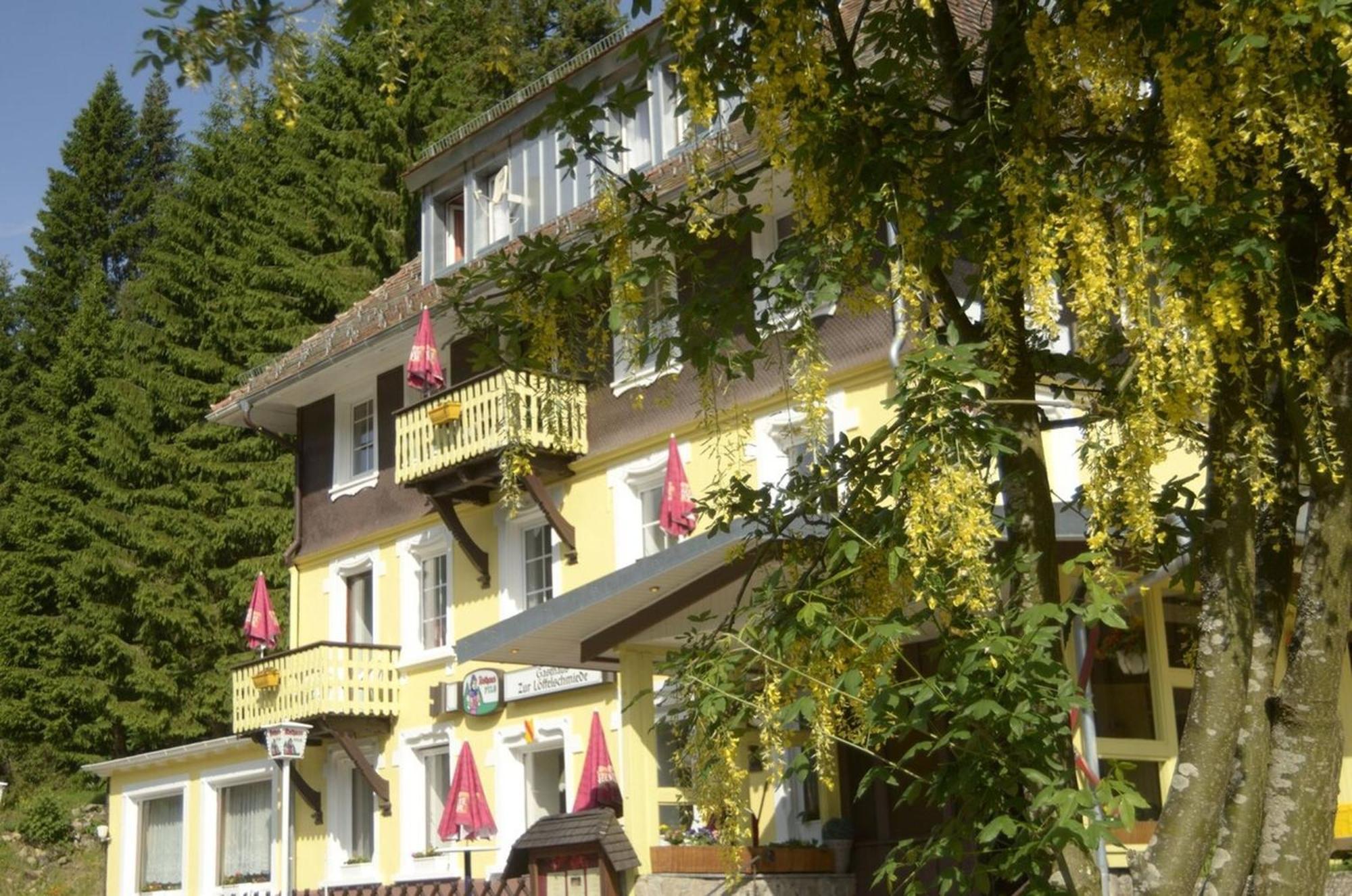 Gasthaus Hotel Loeffelschmiede Feldberg  Bagian luar foto